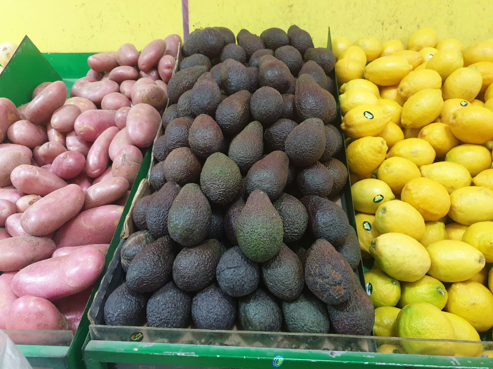 WhatsApp Image 2021-04-15 at 1.57.18 PM.jpeg